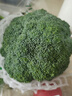 西蘭花約500g 曬單實(shí)拍圖