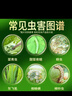 滬聯(lián)植保10%氯蟲(chóng)苯虱螨脲氯蟲(chóng)苯甲酰胺果蔬菜水稻夜蛾螟蟲(chóng)農(nóng)藥殺卵殺蟲(chóng)劑 曬單實(shí)拍圖