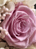 JoyFlower永生花玫瑰熊禮盒七夕情人節(jié)生日禮物結(jié)婚紀念送女生朋友老婆實用 曬單實拍圖