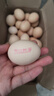 工廠-鮮雞蛋土雞蛋現(xiàn)撿現(xiàn)發(fā)40g正負(fù)5g/枚紙箱裝生鮮京東買(mǎi)菜生鮮 10枚 曬單實(shí)拍圖