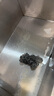 三杏 SAMESHARE電炸爐商用控溫油炸鍋全自動恒溫油條炸串雞柳薯條小吃臺式擺攤大容量設備 分體23升3kw+2炸籃 帶蓋 曬單實拍圖