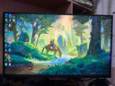 微星（MSI）27英寸4K160Hz雙模1K320Hz 1152分區(qū)MiniLED 旋轉(zhuǎn)升降 HDR1000 游戲電競(jìng)顯示器 MAG 274UPDF E16M玄龍 曬單實(shí)拍圖
