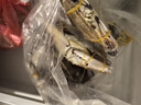 梭子蟹鮮活特大野生舟山大螃蟹海鮮新鮮冷凍海蟹水產(chǎn)飛蟹白蟹 【嘗鮮款】3-5兩/只 凈重3斤 曬單實拍圖