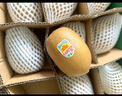 佳沛（zespri）新西蘭 陽光金奇異果12粒禮盒特大果單果約122-146g 獼猴桃 水果 曬單實拍圖