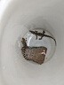 活體鱷苗30-60cm （主營現(xiàn)殺鱷魚肉 藥用蛇肉，活體鱷魚苗） 30公分左右 公母隨機(jī) 曬單實(shí)拍圖