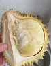 京鮮生 進口金枕頭榴蓮 凈重6-7斤 1個裝  鮮果 生鮮 新鮮水果 曬單實拍圖