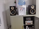 山水（SANSUI）M2發(fā)燒膽機(jī)音響CD DVD播放機(jī)組合家庭桌面音響電子管功放藍(lán)牙音箱大功率HIFI音響套裝重低音炮 M2【2膽管功放+二分頻箱+支架】 曬單實(shí)拍圖
