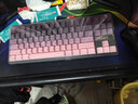 邁從（MCHOSE）K87S/G87旋鈕無線機械鍵盤電競游戲客制化有線/藍牙三模gasket結(jié)構(gòu)全鍵熱插拔辦公 G87 黑莓粉漸變側(cè)刻 TTC快金軸V2 曬單實拍圖