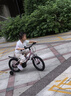 途銳達(dá)超輕兒童自行車3-6-8歲女孩男孩腳踏車小孩學(xué)生單車16寸蜂鳥粉 曬單實拍圖