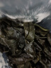 霞浦鹽漬海帶結(jié) 海帶扣海白菜 麻辣燙火鍋燒烤 1500g三斤裝【當季新菜鮮嫩】 曬單實拍圖