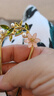 奢蔻（Cercoo）滄海丁香系列插梳原創(chuàng)花朵U型盤發(fā)發(fā)簪發(fā)夾簪子珍珠簪送女友禮物 曬單實(shí)拍圖