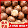2025新貨夏威夷果堅果批發(fā)含罐500g年貨零食整箱干果奶油味散裝 夏威夷果 精美大罐裝500g*2大罐 曬單實拍圖