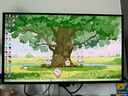 華碩ROG 絕神 OLED 26.5英寸2K電競顯示器280Hz顯示器0.03ms響應(yīng)HDR400真10Bit G-SYNC兼容 OLED顯示器 曬單實拍圖