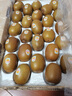 佳沛（zespri）新西蘭  陽(yáng)光金奇異果25-27粒原箱特大果單果約122-146g  獼猴桃 曬單實(shí)拍圖
