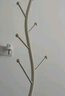 木樽奶油風(fēng)網(wǎng)紅衣帽架臥室掛衣架落地家用室內(nèi)簡(jiǎn)約立式掛包收納衣服架 奶油白樹杈主桿+雪山白巖板底座 曬單實(shí)拍圖