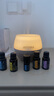 多特瑞（DOTERRA）單方精油天竺葵迷迭香依蘭馬郁蘭永久花香蜂草精油 迷迭香15ml【提高記憶】 曬單實拍圖
