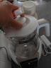 小白熊SnowBear恒溫水壺嬰兒調(diào)奶器奶瓶沖泡奶粉熱水壺溫奶器1.2L燒水壺 0857 曬單實拍圖
