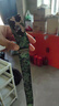 軍訓(xùn)專用彈力腰帶迷彩懶人必備用品神器男生女款可調(diào)節(jié)青少年學(xué)生 【1條】經(jīng)典迷彩丨可調(diào)節(jié) 曬單實(shí)拍圖