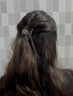 兩世歡時(shí)尚漸變棕仿水晶抓夾飾女輕奢高端2026新款后腦勺盤(pán)發(fā)抓夾頭飾 彩色閃鉆抓夾 曬單實(shí)拍圖