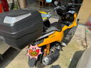 巴祖卡JP102后減震本田NS150GX NWG150 PCX巡弋春風(fēng)天鷹光陽(yáng)150 UHR減震 銀金 適用本田NS150GX/NWG150 曬單實(shí)拍圖