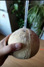 泰國進口椰青新鮮無添加天然椰汁補水 1粒嘗鮮 單果850g+ 曬單實拍圖