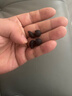 卡恩歐耳塞防噪音睡覺睡眠專用超級隔音不傷耳朵打呼嚕神器助眠降噪耳罩硅膠靜音耳塞適用小米 整晚安睡【寂靜黑】隔音可水洗 【隔音降噪丨睡眠工作兩用】 曬單實拍圖