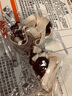 暢印 帽子防風(fēng)繩漁夫帽遮陽帽配件專用防掉帽帶子草帽太陽帽配件固定扣掛繩 米色_兩條+帶別針 曬單實(shí)拍圖