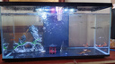 喜高超白玻璃魚缸智能魚缸免換水小型客廳水族箱一體式過濾氧氣魚缸 黑色-魚缸標(biāo)配 600*260*330mm 曬單實(shí)拍圖