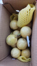 果迎鮮黃金百香果20個(gè)裝 新鮮熱帶水果 西番蓮雞蛋果 欽蜜9號(hào)單果40-60g 曬單實(shí)拍圖