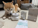 佰草集新七白美白清潔泥膜淡斑大白泥面膜500g【升級(jí)版】 涂抹式補(bǔ)水 曬單實(shí)拍圖
