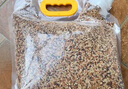 喜帥 五色黍子混色鳥糧2kg （新糧）鸚鵡糧食鳥食虎皮牡丹糧玄鳳飼料 曬單實拍圖