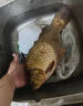 天元天元鄧剛一包搞定釣魚(yú)餌料釣鯽魚(yú)鯉魚(yú)草魚(yú)鳊魚(yú)青魚(yú)野釣通殺餌專(zhuān)用 買(mǎi)二贈一【爆戶(hù)優(yōu)選】 曬單實(shí)拍圖