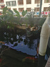 森森（SUNSUN）變頻潛水泵CTP水族箱循環(huán)過濾水陸兩用魚池抽水泵大流量過濾循環(huán) CTP-5800送1米水管40瓦變頻泵 曬單實(shí)拍圖