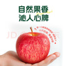 青怡陜西特產(chǎn)洛川紅富士時令蘋果新鮮水果禮盒 源頭產(chǎn)地包郵直發(fā) 11斤【大果】210g+ 曬單實拍圖