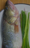 一蝦一世界 三去開背海鱸魚/河鱸魚（去鱗去腮去內(nèi)臟）新鮮冷凍 年貨年夜飯 超大號(hào)凈重500-600g*4條 曬單實(shí)拍圖