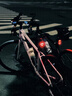 西騎者（WestBiking）自行車尾燈夜騎智能感應(yīng)警示燈山地公路車充電防水創(chuàng)意尾燈 愛心尾燈-雙支架 曬單實拍圖