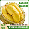 京地達(dá)泰國金枕頭榴蓮 凈重3-4斤 1個(gè)裝 整果生鮮水果源頭直發(fā)包郵 曬單實(shí)拍圖