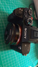 索尼（SONY）Alpha A7R2 A7R3 A7R4 A7R5 全畫(huà)幅二手微單 數碼相機 99新索尼 A7R2 單機身 標配【無(wú)內存卡等配件，套餐更劃算】 99成新 曬單實(shí)拍圖