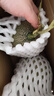 京鮮生 哈密瓜西州蜜25號 凈重7-8斤2-4粒裝 源頭直發(fā)包郵 曬單實拍圖