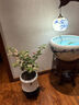 東部工品打包轉(zhuǎn)盤底座承重旋轉(zhuǎn)轉(zhuǎn)盤展示臺(tái)手動(dòng)快遞打包神器轉(zhuǎn)盤臺(tái)40CM 曬單實(shí)拍圖