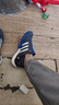 阿迪達斯 （adidas）涉水鞋男鞋新款快干越野鞋戶(hù)外底透氣孔休閑鞋 HP8637 40 曬單實(shí)拍圖