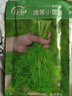 壽禾小茴香種子苗多茬農(nóng)家秋季種植四季蔬菜籽 濰豐濰常小茴香種子25g 曬單實(shí)拍圖
