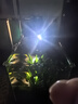 黑豆殼 魚缸換水神器 換水管電動抽水吸便器吸糞洗沙清潔清理工具 36w高配版+10米水管+水龍頭轉(zhuǎn)接頭 曬單實拍圖