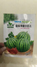 超甜蜂蜜小西瓜種子紅玉無(wú)籽小西瓜四季種植陽(yáng)臺庭院盆栽水果種子 蜂蜜盆栽小西瓜種子（30天可吃） 高產(chǎn)良種：2包約80?！拘路N 曬單實(shí)拍圖