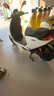 九號（Ninebot）【千璽同款】【九號新品】M85c+ Mk2 電動摩托車 智能智駕 長續(xù)航【門店自提】 到門店選顏色 曬單實拍圖