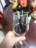 Chateau Grand sorillon索利隆酒莊干紅葡萄酒2023年750mL*2七夕禮物進(jìn)口紅酒 曬單實拍圖