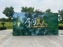 全球星籃球星科比手辦限量版公仔人偶模型球星玩偶搖頭公仔擺件男生禮物 科比湖人 曬單實拍圖