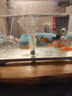 森森魚缸增氧泵水族箱氧氣泵LQE-200家用小型充氧泵4W雙孔+全套配件 曬單實(shí)拍圖