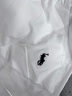 POLO SPORT速干短褲男夏季外穿高級感薄款休閑五分褲潮牌直筒中褲男2025新款 白色 XL 建議144-155斤 曬單實拍圖