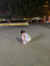 戴維貝拉兒童網(wǎng)面涼鞋女童運動(dòng)鞋夏季寶寶透氣鞋子幼兒園 曬單實(shí)拍圖